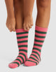 Hibiscus Stripe